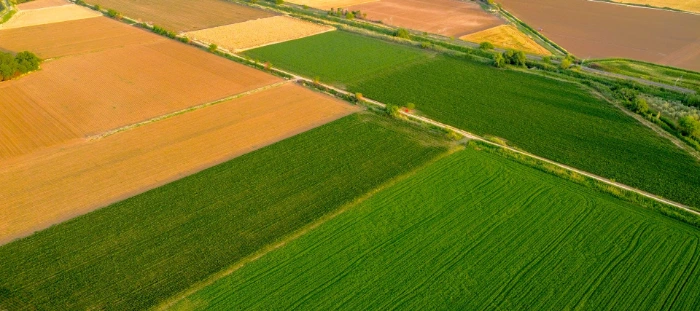 green grass field during daytime